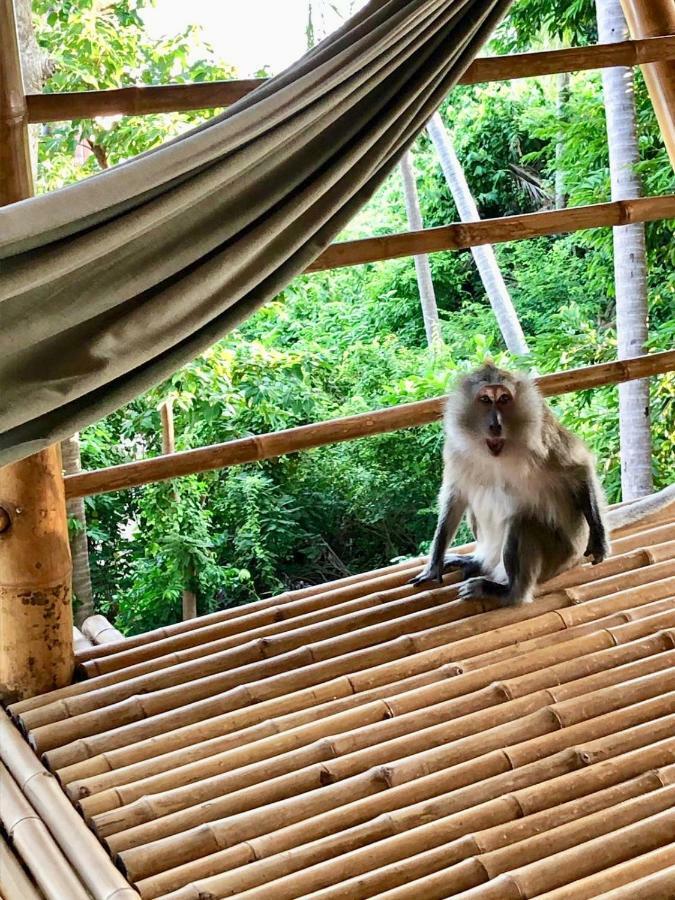 Kalulushi Bungalows Ko Pha Ngan Buitenkant foto